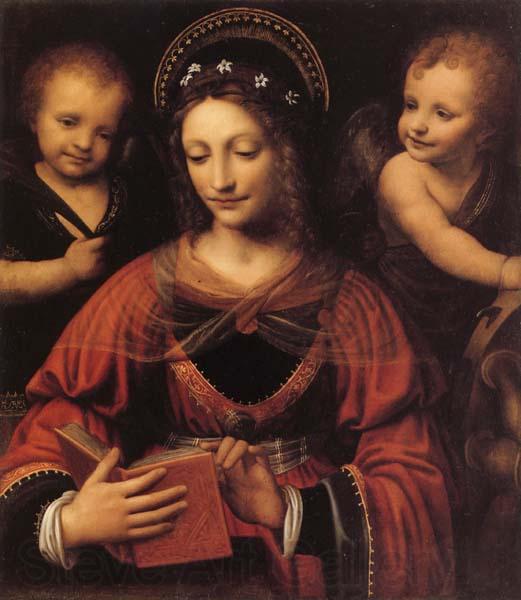 LUINI, Bernardino St.Catherine Norge oil painting art